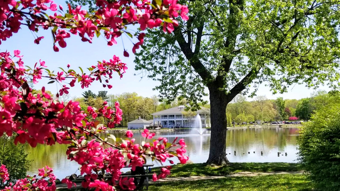 Casino Lake Spring Blooms